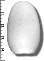 High Density Smoothfoam 2 3/4" Diam. x 4 1/4" H  GOOSE EGG -CASE OF 1000 pcs ** THIS IS NOT A STOCK ITEM, 2-3 WEEK PRODUCTION***