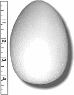 High Density Smoothfoam 3 1/4" Diam. x 4 3/4" H  EGG -CASE OF 1000 pcs ** THIS IS NOT A STOCK ITEM, 2-3 WEEK PRODUCTION***