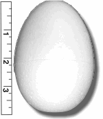 High Density Smoothfoam 2 3/4" Diam. x 4" H EGG  - 6 pack