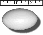 High Density Smoothfoam 2 1/2" diam x 1 1/2" H ROUND OVAL -CASE OF 1000 pcs ** THIS IS NOT A STOCK ITEM, 2-3 WEEK PRODUCTION***